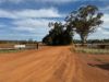 2823, Hermidale NSW 2831-Image