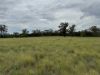 2823, Hermidale NSW 2831-Image