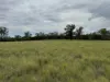 2823, Hermidale NSW 2831-Image