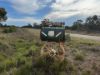 2823, Hermidale NSW 2831-Image
