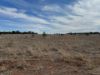 2823, Hermidale NSW 2831-Image