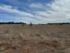 2823, Hermidale NSW 2831-Image
