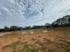2823, Hermidale NSW 2831-Image