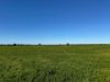 2823, Hermidale NSW 2831-Image