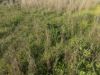 2823, Hermidale NSW 2831-Image