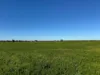 2823, Hermidale NSW 2831-Image