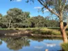 2824 Neilrex Road, Coolah NSW 2843-Image