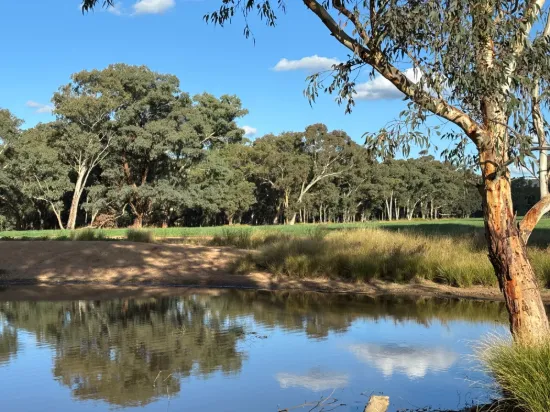 2824 Neilrex Road, Coolah NSW 2843-Image