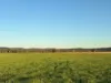 2824 Neilrex Road, Coolah NSW 2843-Image