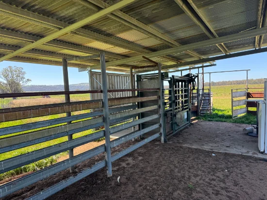 2824 Neilrex Road, Coolah NSW 2843-Image
