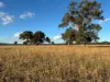 2824 Neilrex Road, Coolah NSW 2843-Image