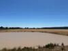 2824 Neilrex Road, Coolah NSW 2843-Image
