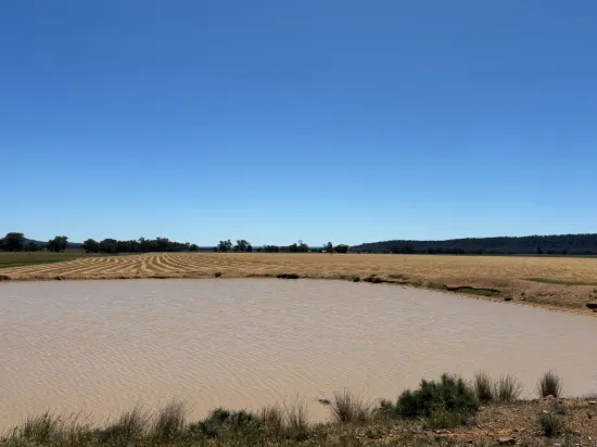 2824 Neilrex Road, Coolah NSW 2843-Image