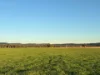 2824 Neilrex Road, Coolah NSW 2843-Image