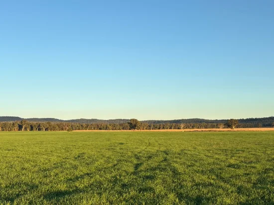 2824 Neilrex Road, Coolah NSW 2843-Image