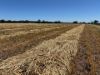 2824 Neilrex Road, Coolah NSW 2843-Image