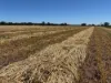 2824 Neilrex Road, Coolah NSW 2843-Image