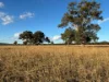 2824 Neilrex Road, Coolah NSW 2843-Image