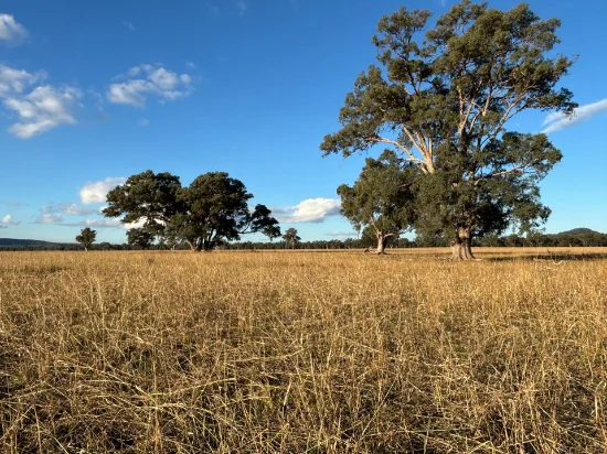 2824 Neilrex Road, Coolah NSW 2843-Image