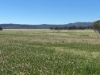 2824 Neilrex Road, Coolah NSW 2843-Image