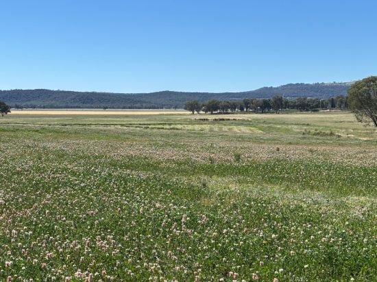 2824 Neilrex Road, Coolah NSW 2843-Image