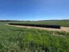 2824 Neilrex Road, Coolah NSW 2843-Image