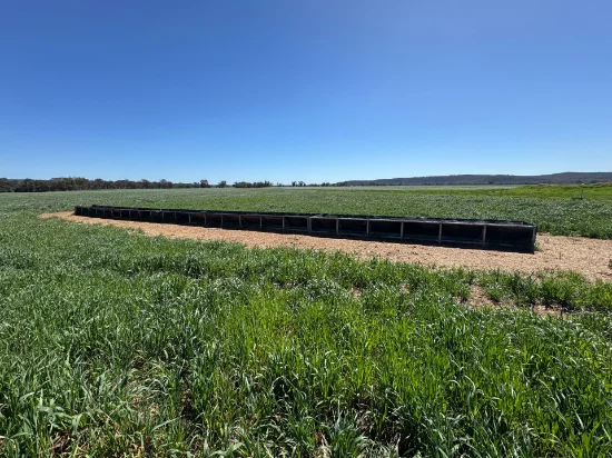 2824 Neilrex Road, Coolah NSW 2843-Image