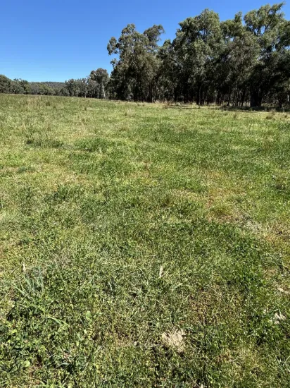 2824 Neilrex Road, Coolah NSW 2843-Image