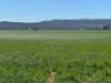 2824 Neilrex Road, Coolah NSW 2843-Image