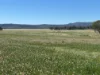 2824 Neilrex Road, Coolah NSW 2843-Image