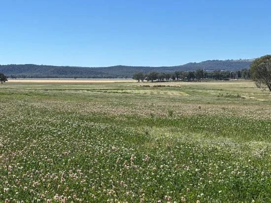 2824 Neilrex Road, Coolah NSW 2843-Image