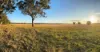 2824 Neilrex Road, Coolah NSW 2843-Image