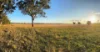 2824 Neilrex Road, Coolah NSW 2843-Image