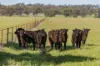 289 Kamarah Road, Narrandera, NSW 2700-Image