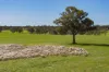 289 Kamarah Road, Narrandera, NSW 2700-Image