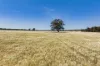 289 Kamarah Road, Narrandera, NSW 2700-Image