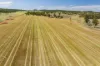 289 Kamarah Road, Narrandera, NSW 2700-Image
