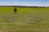 289 Kamarah Road, Narrandera, NSW 2700-Image