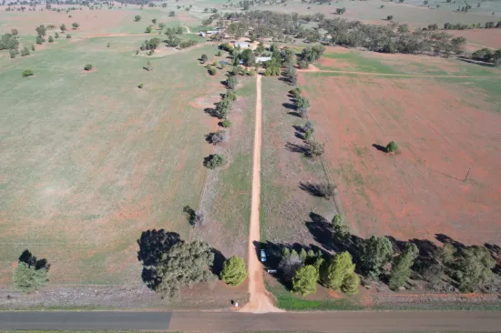 2892 Springvale Road, Condobolin, NSW 2877
