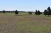 2892 Springvale Road, Condobolin, NSW 2877-Image