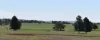 2892 Springvale Road, Condobolin, NSW 2877-Image