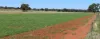 2892 Springvale Road, Condobolin, NSW 2877-Image