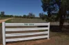 2892 Springvale Road, Condobolin, NSW 2877-Image