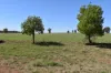 2892 Springvale Road, Condobolin, NSW 2877-Image