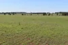 2892 Springvale Road, Condobolin, NSW 2877-Image