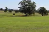 2892 Springvale Road, Condobolin, NSW 2877-Image