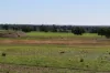 2892 Springvale Road, Condobolin, NSW 2877-Image
