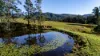 29 Mount Pleasant Road, Wherrol Flat, NSW 2429-Image