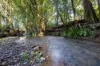29 Mount Pleasant Road, Wherrol Flat, NSW 2429-Image