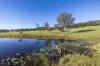 29 Mount Pleasant Road, Wherrol Flat, NSW 2429-Image